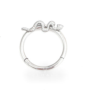 16 Gauge Snake Titanium Septum Piercing Ring Stainless Steel